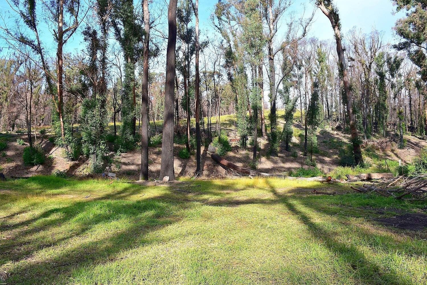 38 Yarran Rd BOYDTOWN Via, Eden, Eden - Thumbnail 3