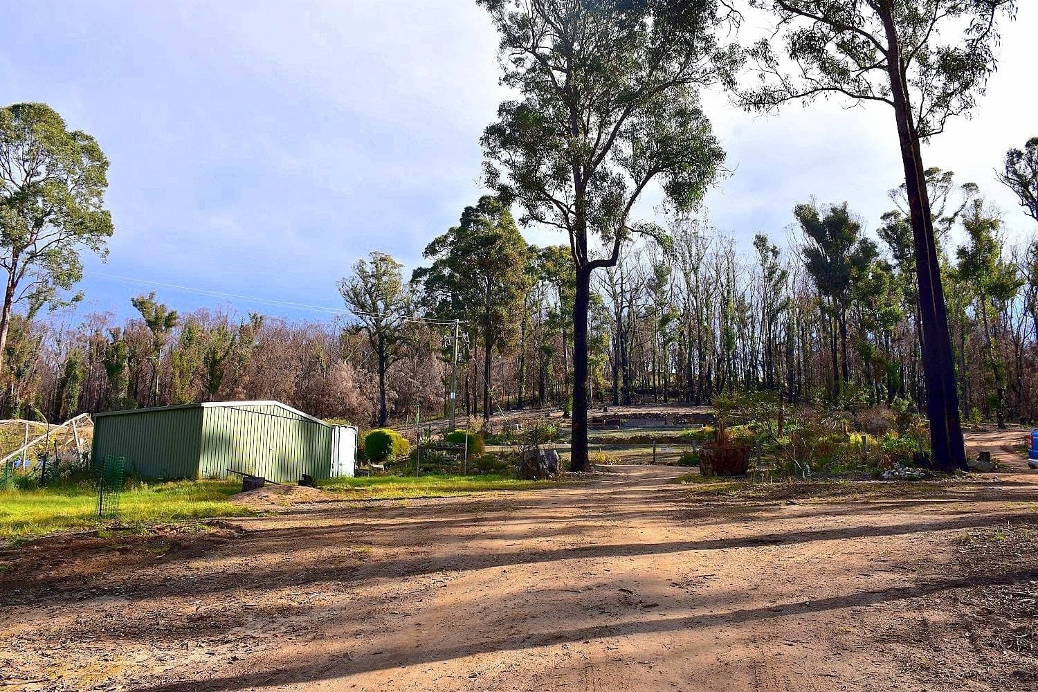38 Yarran Rd BOYDTOWN Via, Eden, Eden - Thumbnail 4