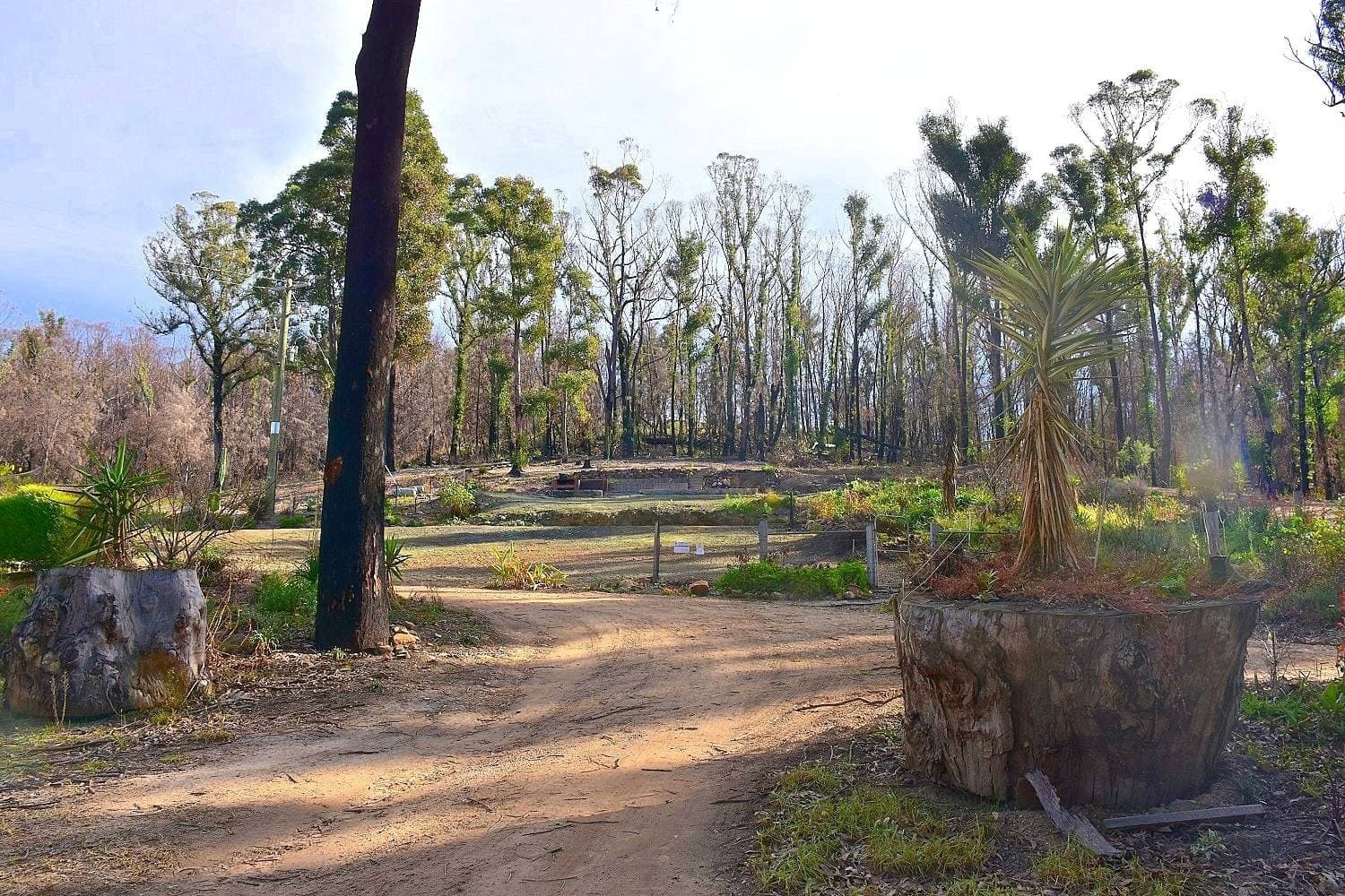 38 Yarran Rd BOYDTOWN Via, Eden, Eden - Thumbnail 5