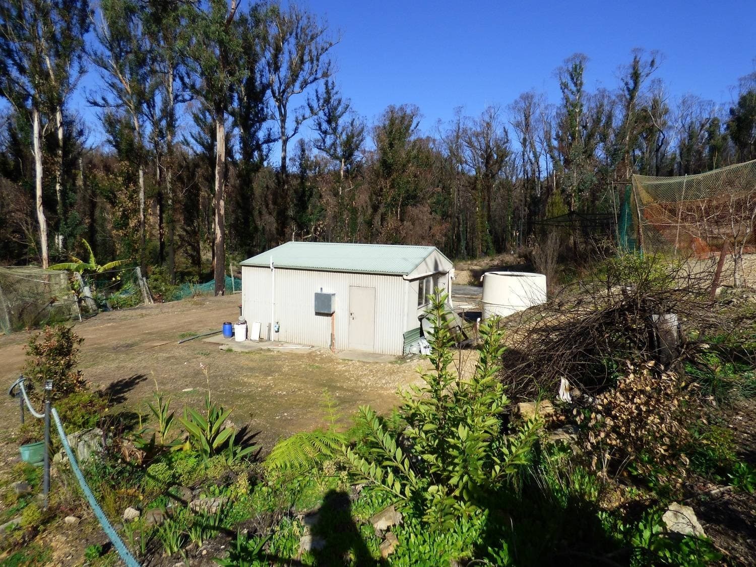 38 Yarran Rd BOYDTOWN Via, Eden, Eden - Thumbnail 6