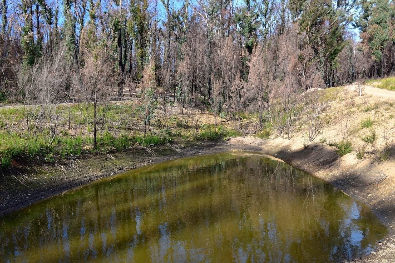 38 Yarran Rd BOYDTOWN Via, Eden, Eden - Thumbnail 7