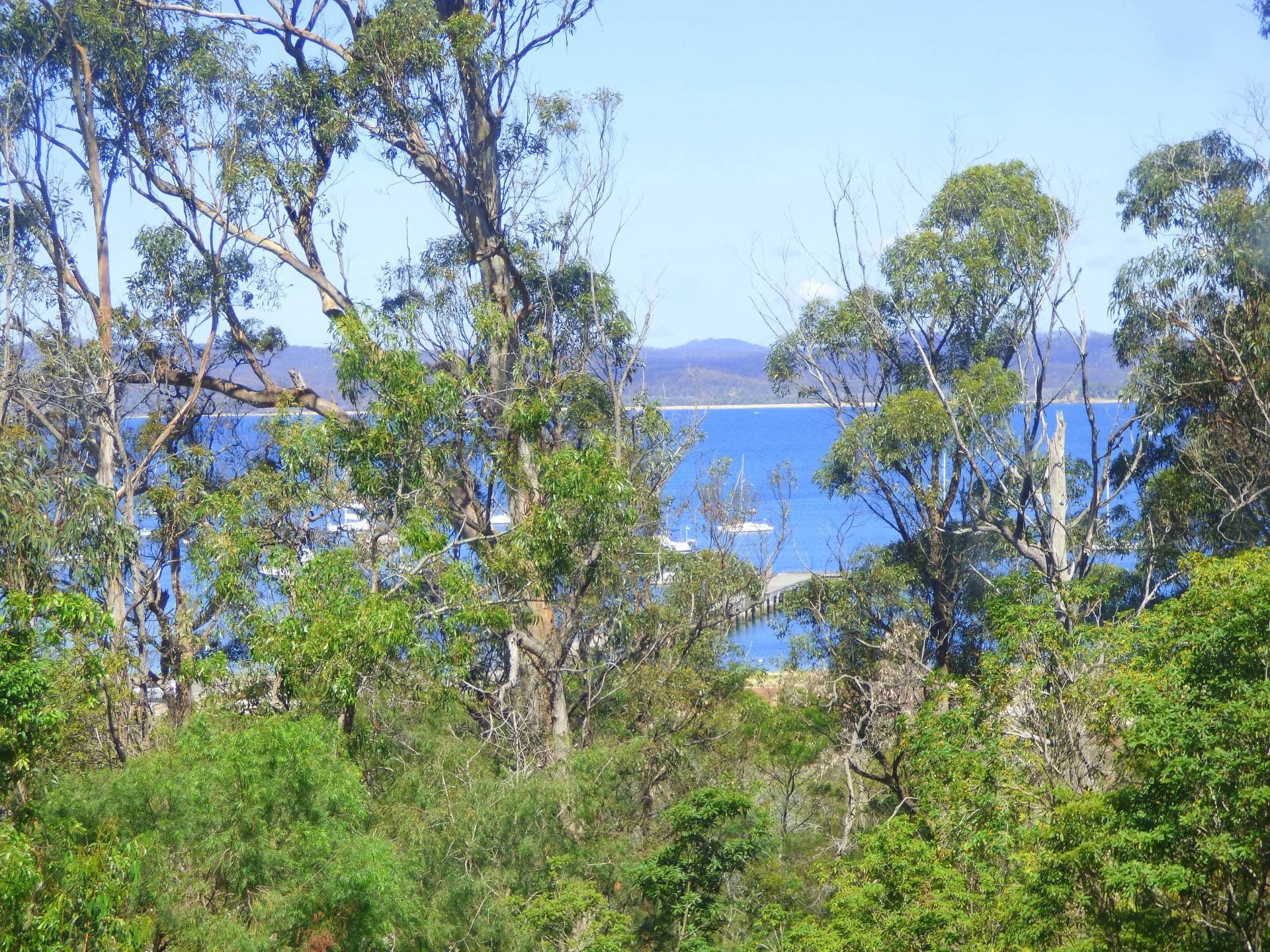11 Cattle Bay Rd, Eden, Eden - Thumbnail 5