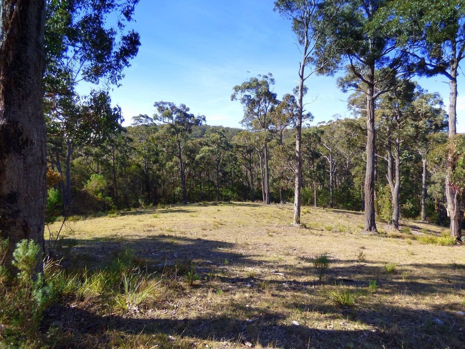 282 Komirra Drive, Eden - Thumbnail 3