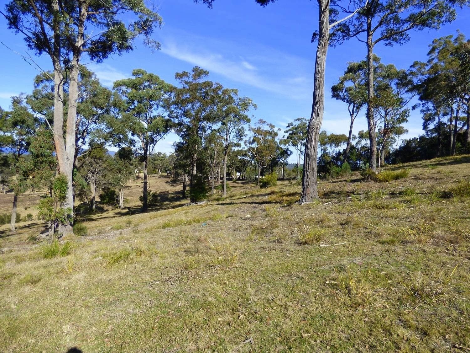 282 Komirra Drive, Eden - Thumbnail 4