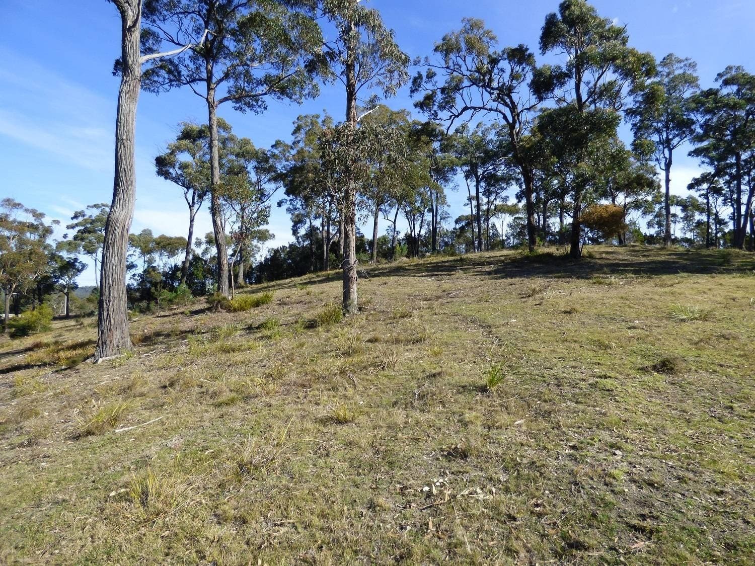 282 Komirra Drive, Eden - Thumbnail 6