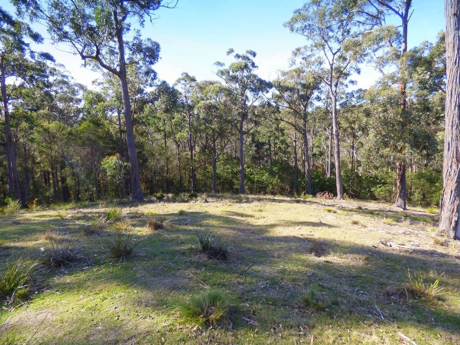 282 Komirra Drive, Eden - Thumbnail 8
