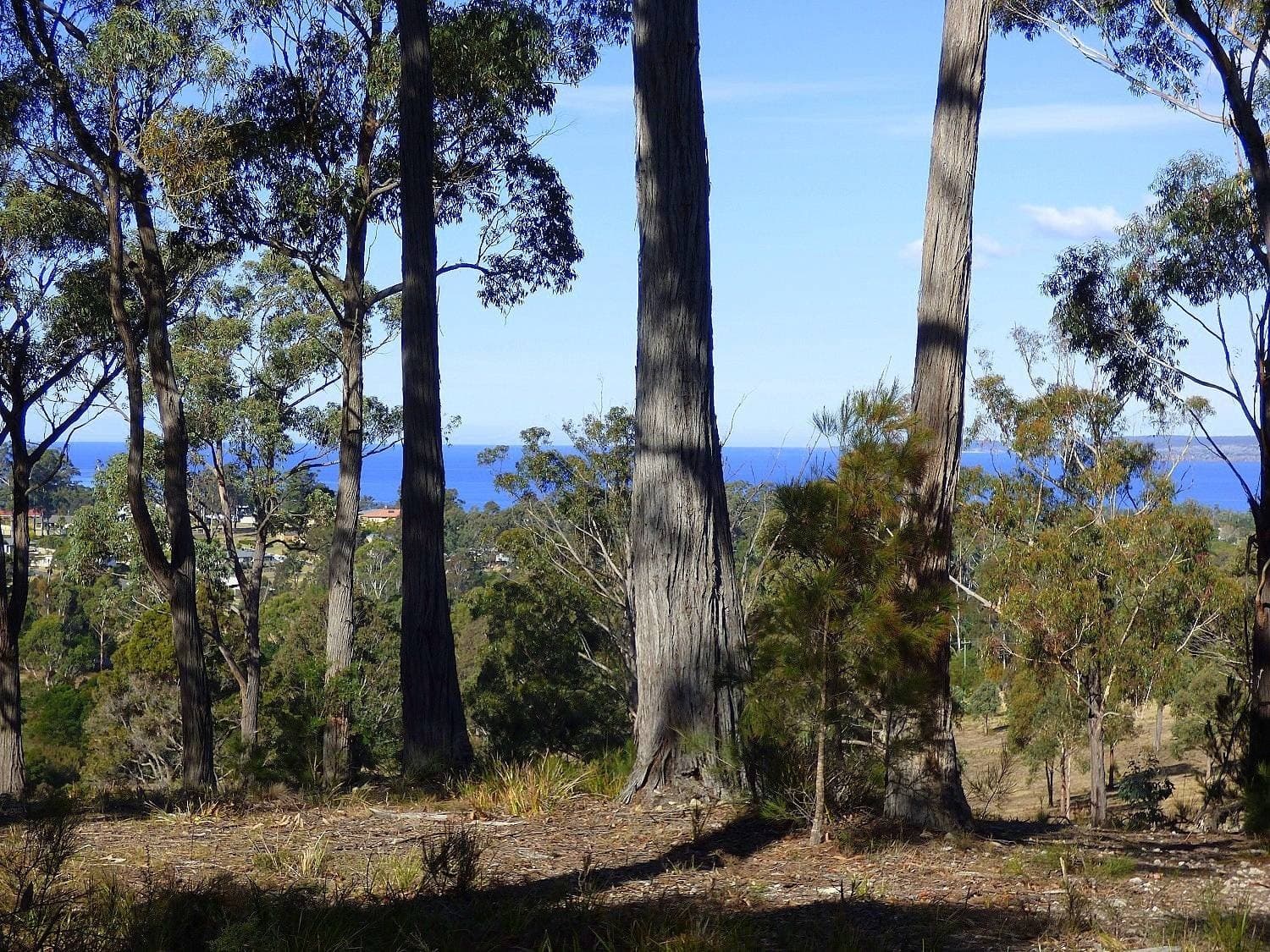 281 Komirra Drive, Eden - Image 1