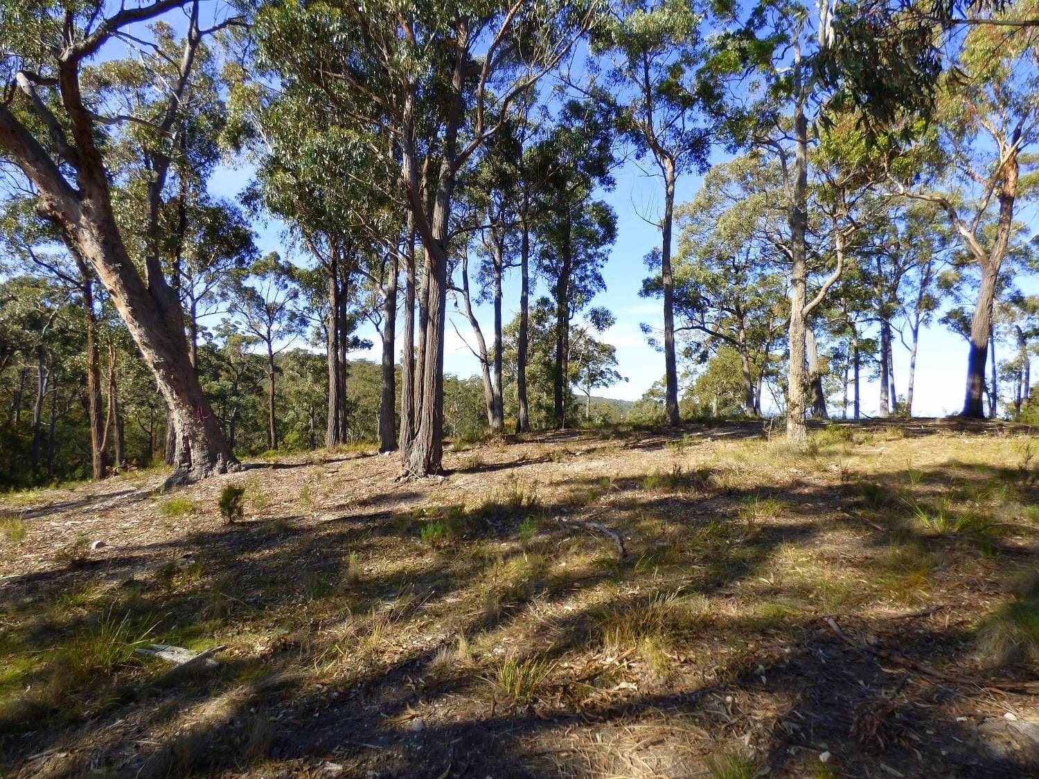 281 Komirra Drive, Eden - Thumbnail 3