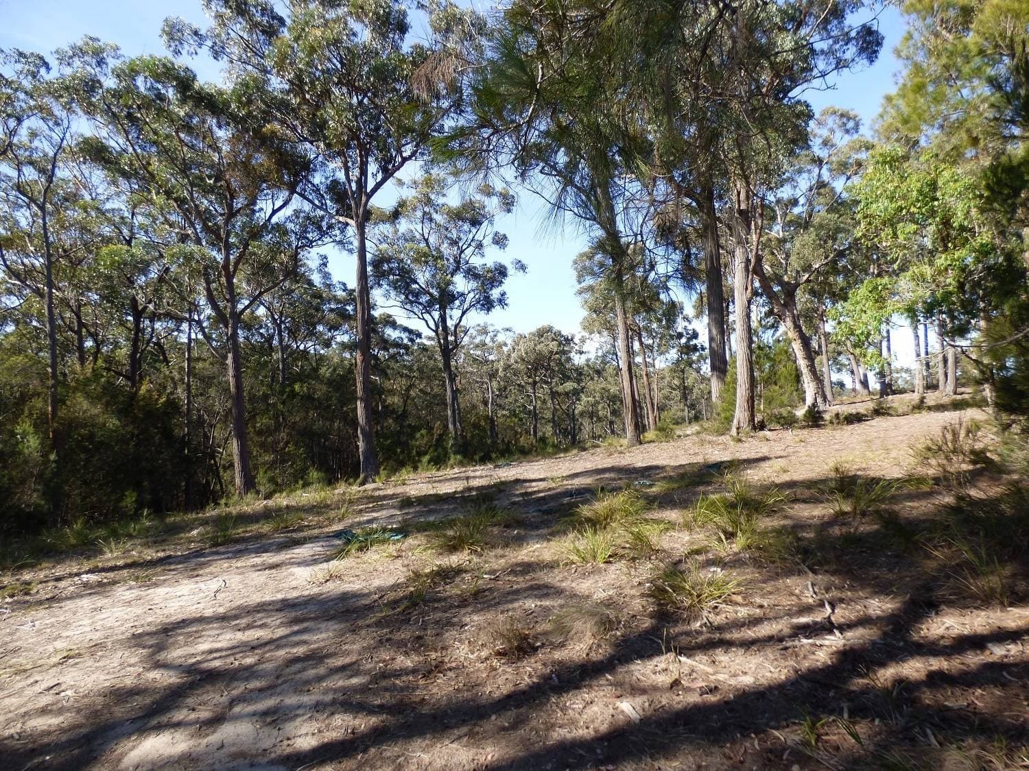 281 Komirra Drive, Eden - Thumbnail 5