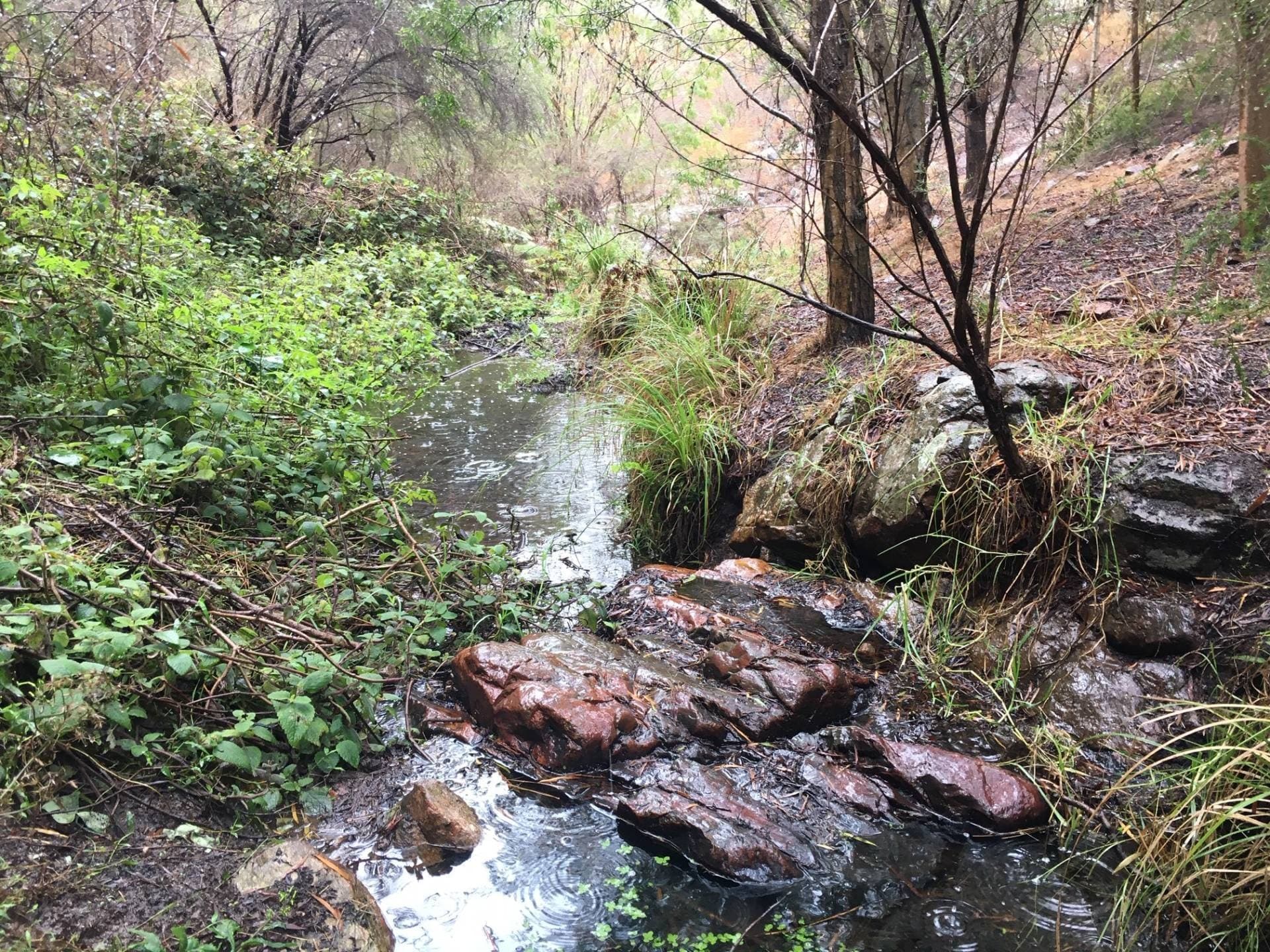 180 McGraths Rd, Lochiel, Lochiel - Thumbnail 3