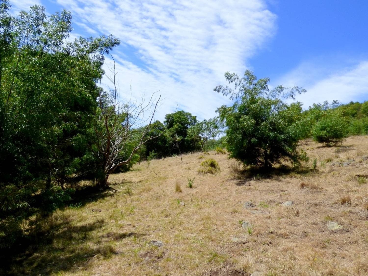 180 McGraths Rd, Lochiel, Lochiel - Thumbnail 4