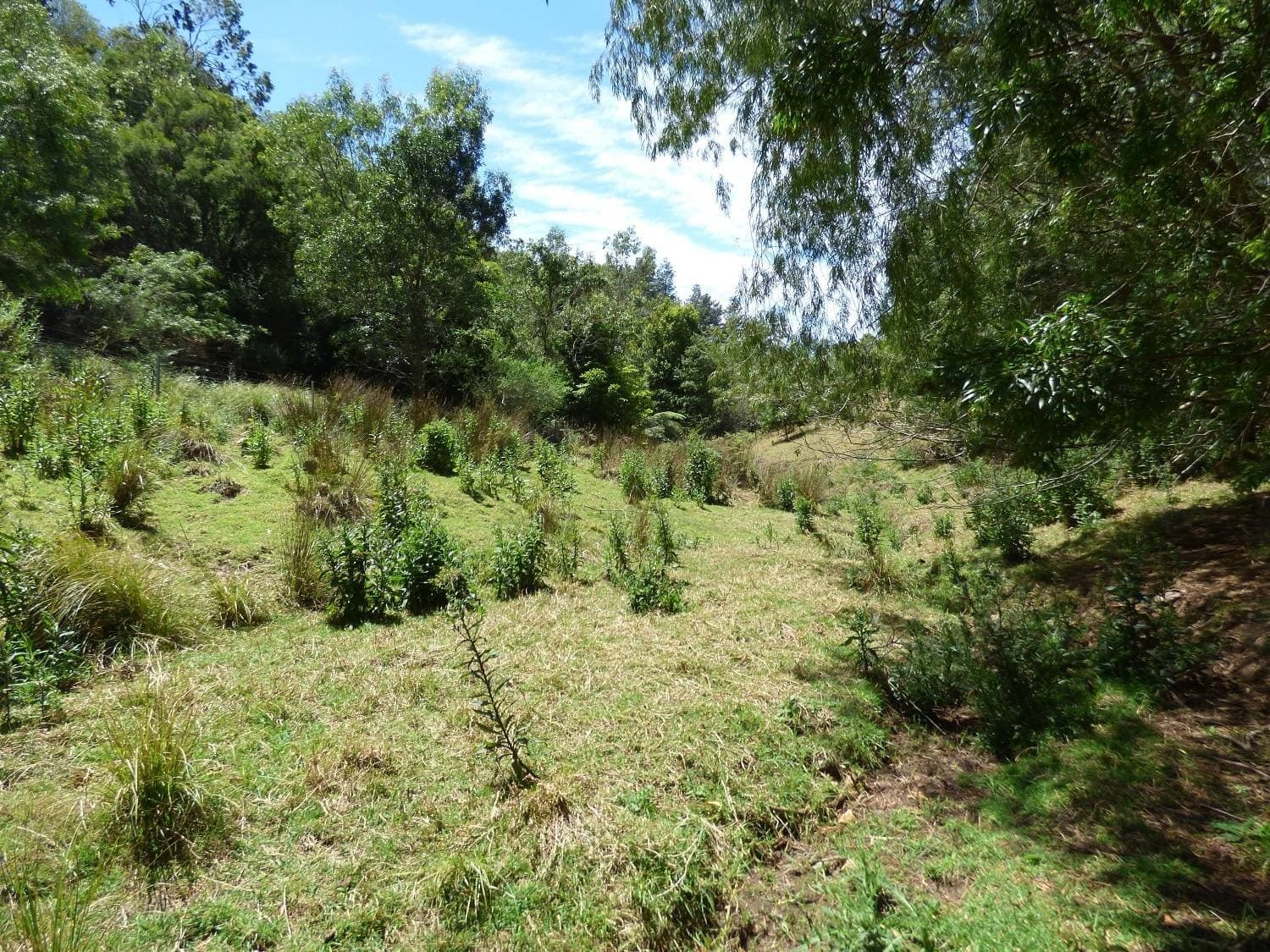 180 McGraths Rd, Lochiel, Lochiel - Thumbnail 7