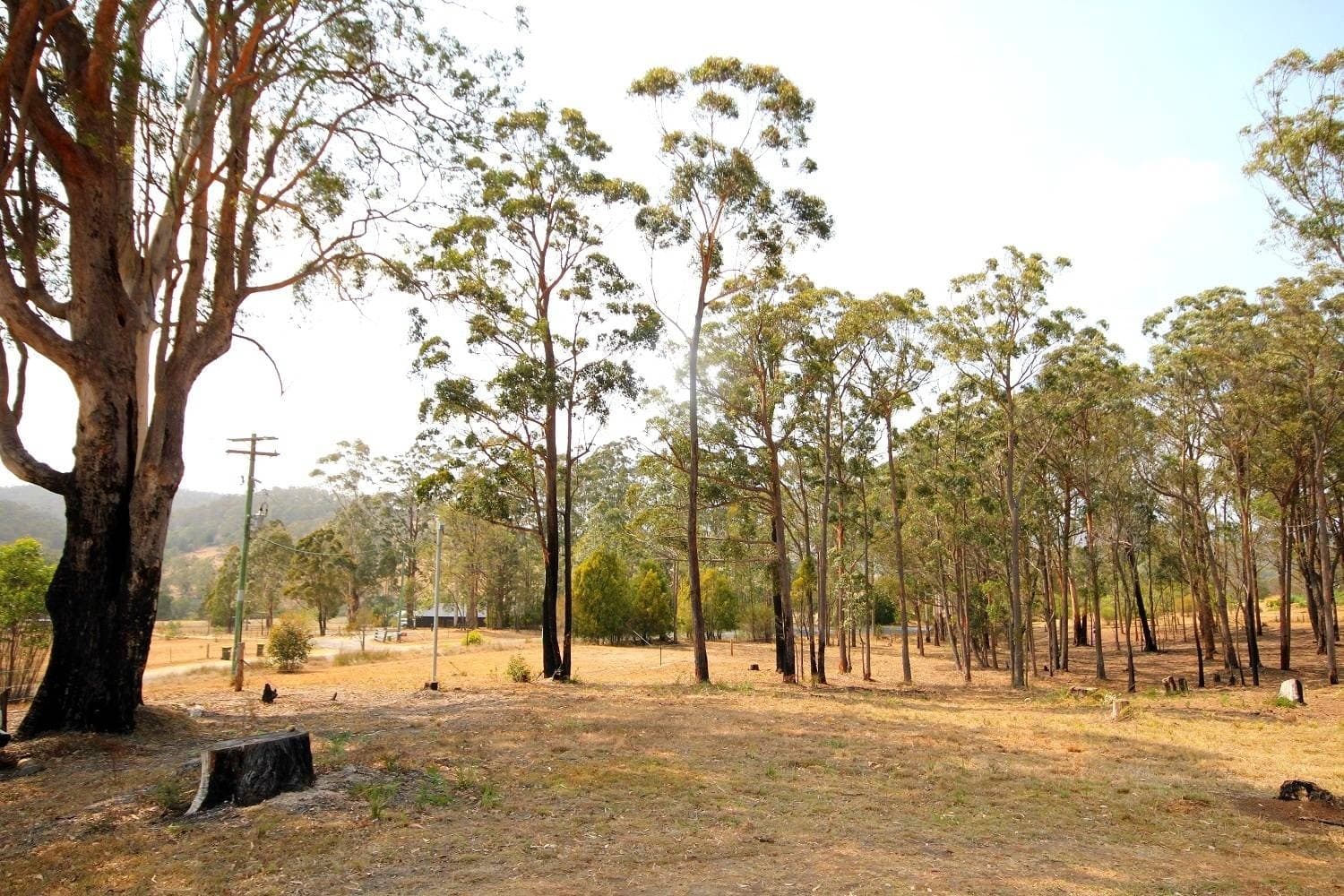 667 Mount Darragh Rd, Lochiel, Lochiel - Thumbnail 2