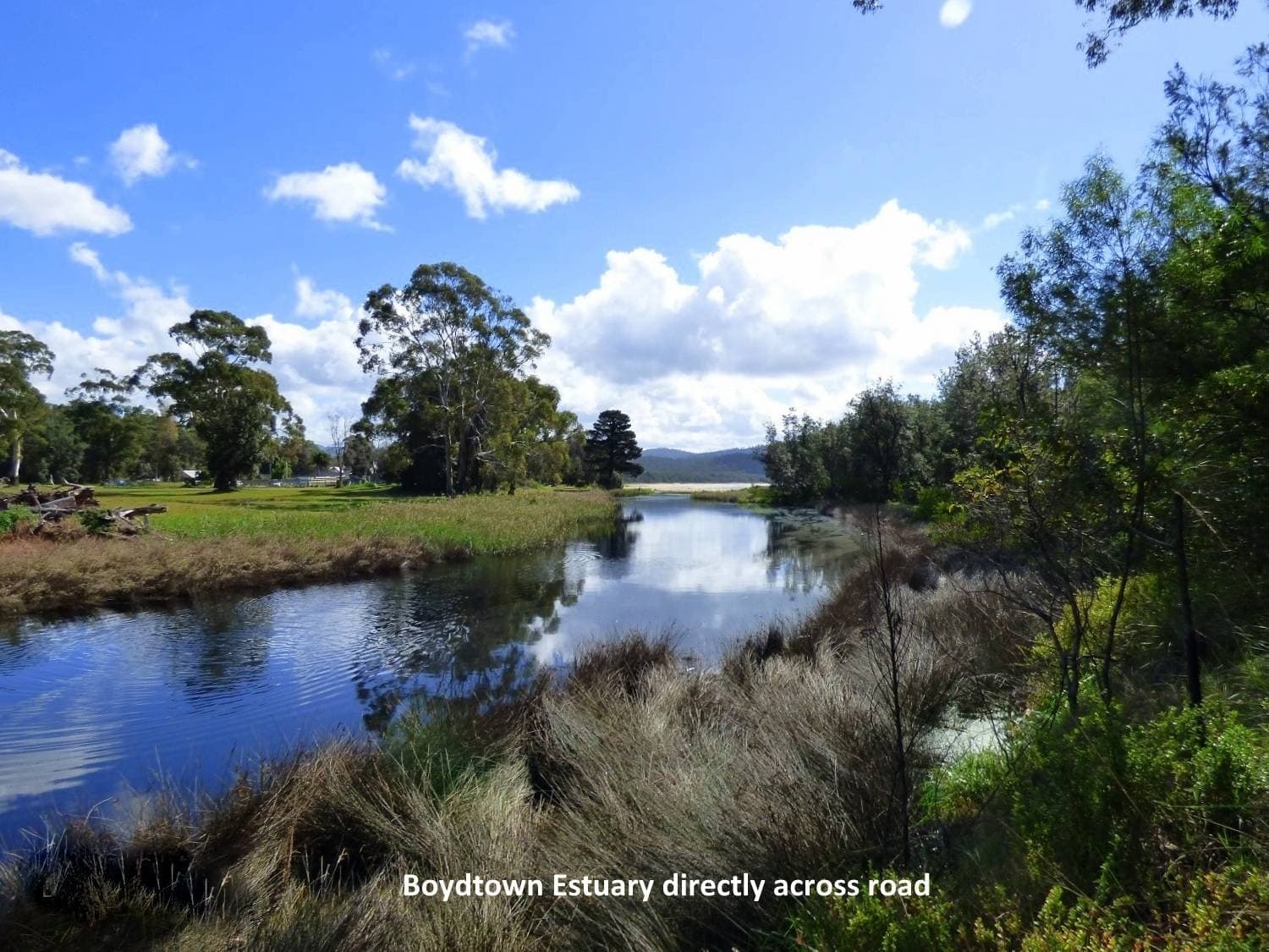 124 Ben Boyd Parade, Boydtown Via, Eden - Thumbnail 6