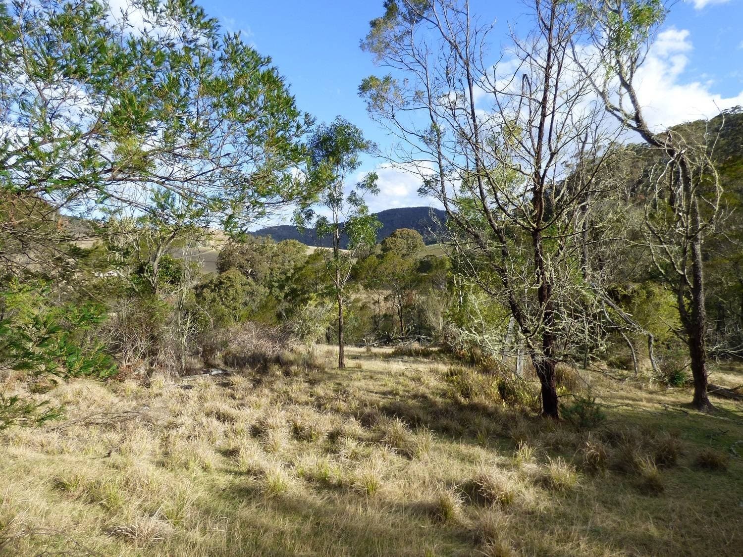 Lots 89, 90 & 91 Mt Darragh Rd, Lochiel, Lochiel - Thumbnail 2