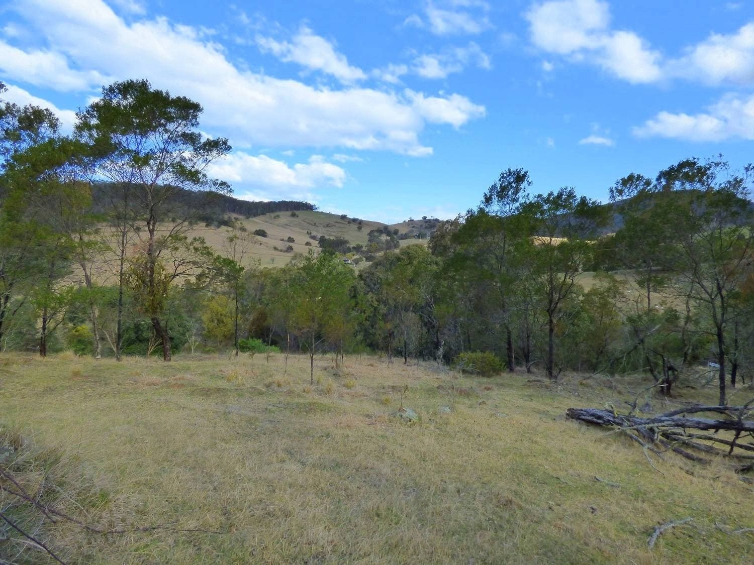 Lots 89, 90 & 91 Mt Darragh Rd, Lochiel, Lochiel - Thumbnail 3
