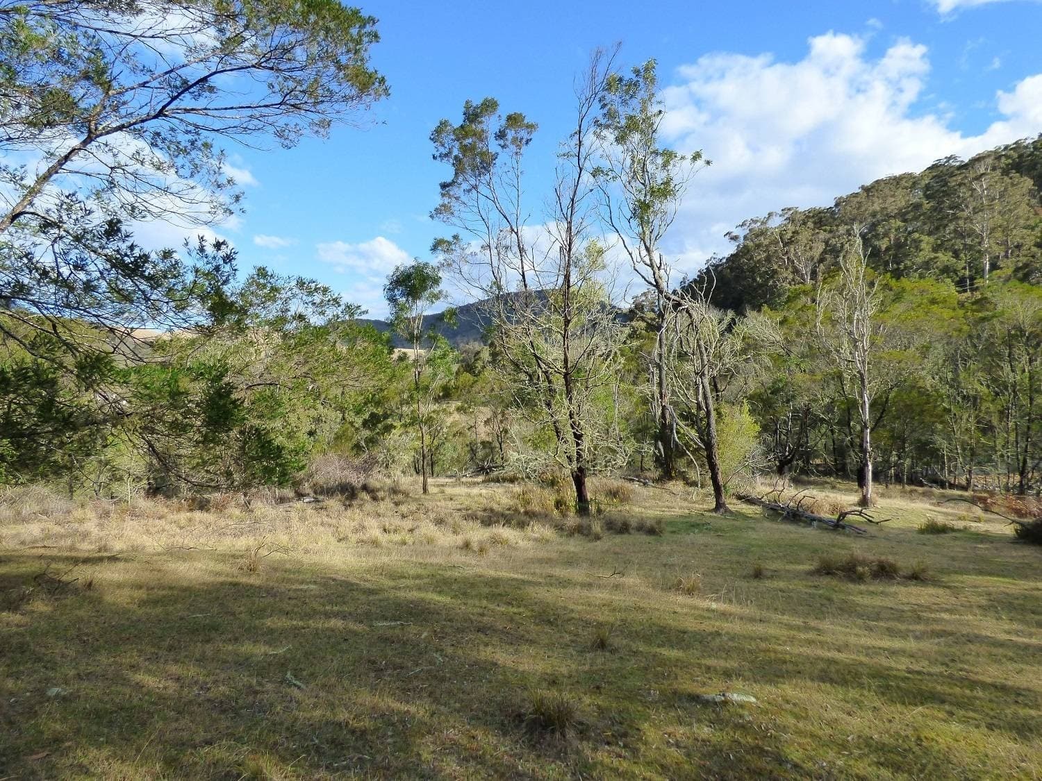 Lots 89, 90 & 91 Mt Darragh Rd, Lochiel, Lochiel - Thumbnail 4