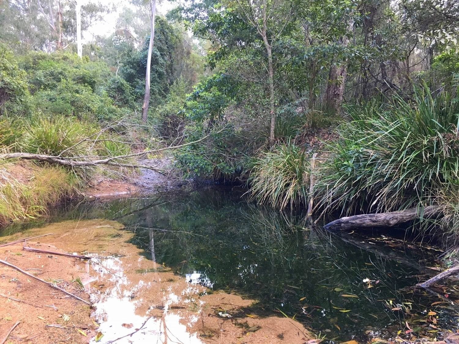 Lots 89, 90 & 91 Mt Darragh Rd, Lochiel, Lochiel - Thumbnail 5
