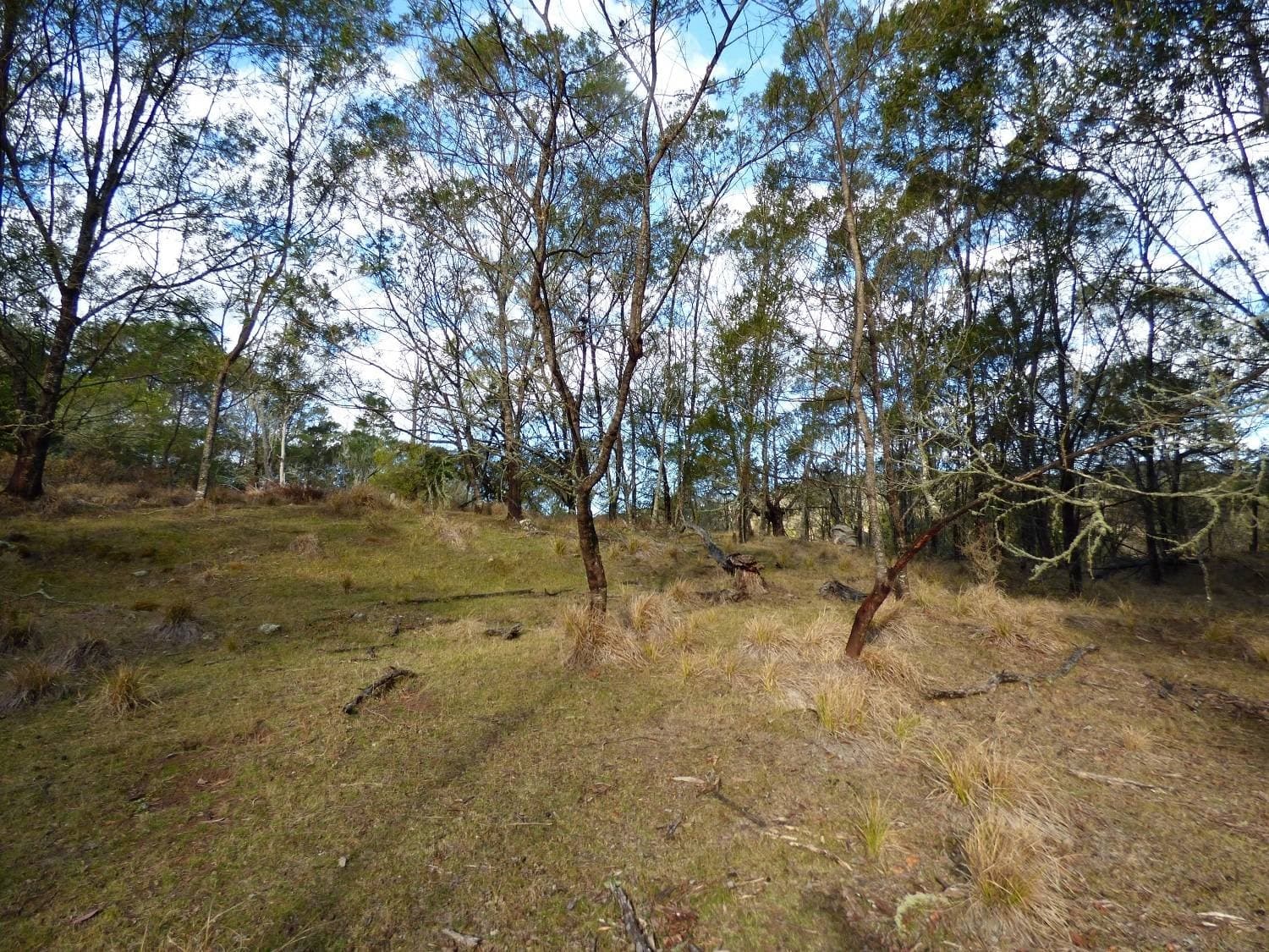 Lots 89, 90 & 91 Mt Darragh Rd, Lochiel, Lochiel - Thumbnail 7