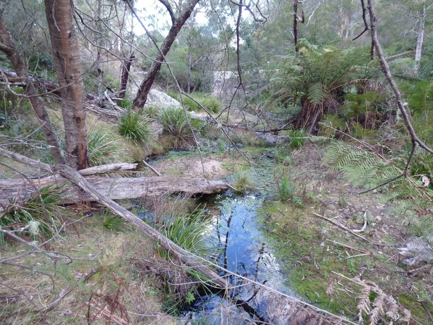 Lots 89, 90 & 91 Mt Darragh Rd, Lochiel, Lochiel - Thumbnail 8