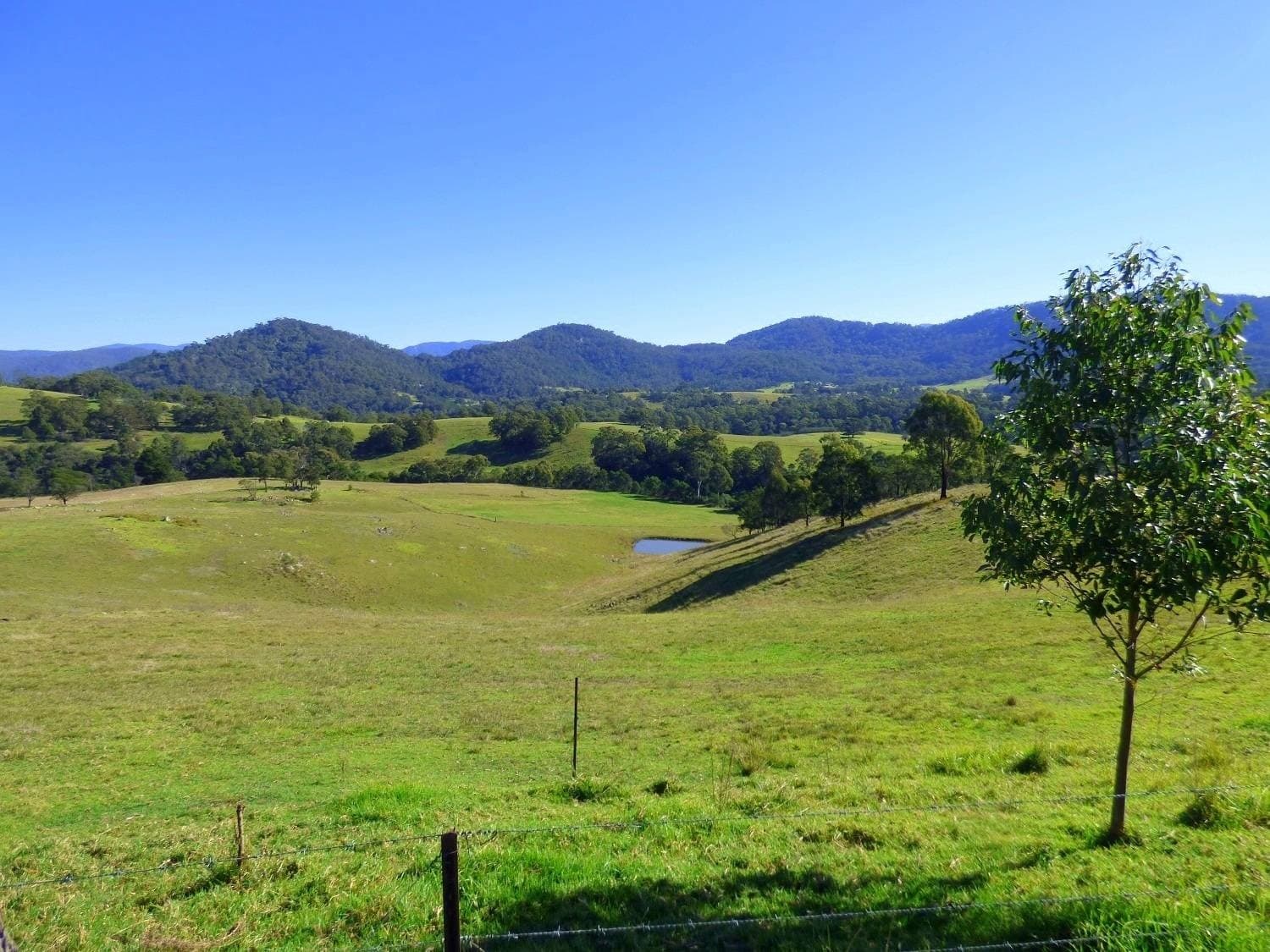 616 "Wattle Hill", Wyndham, Wyndham - Thumbnail 2