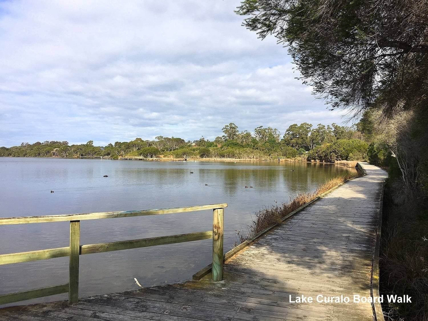 Unit 5, 9-13 Lakeside Dr, Eden, Eden - Thumbnail 2