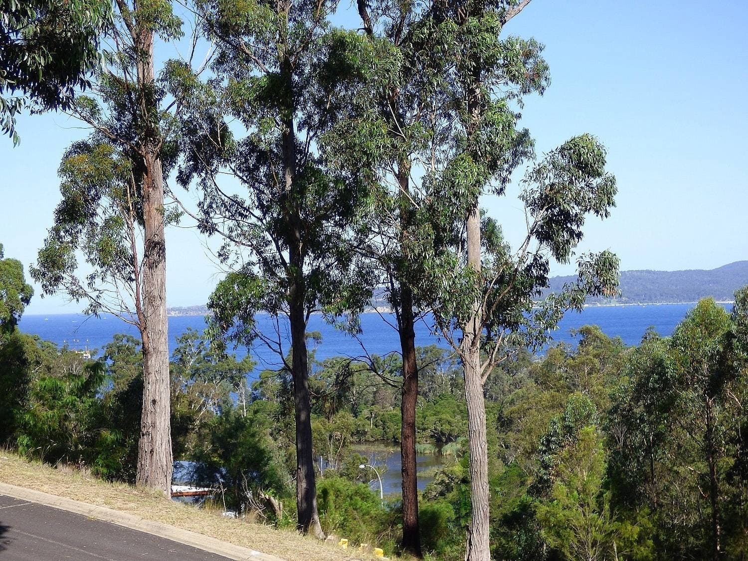 7 Whale Cove Cct, Eden, Eden - Image 1