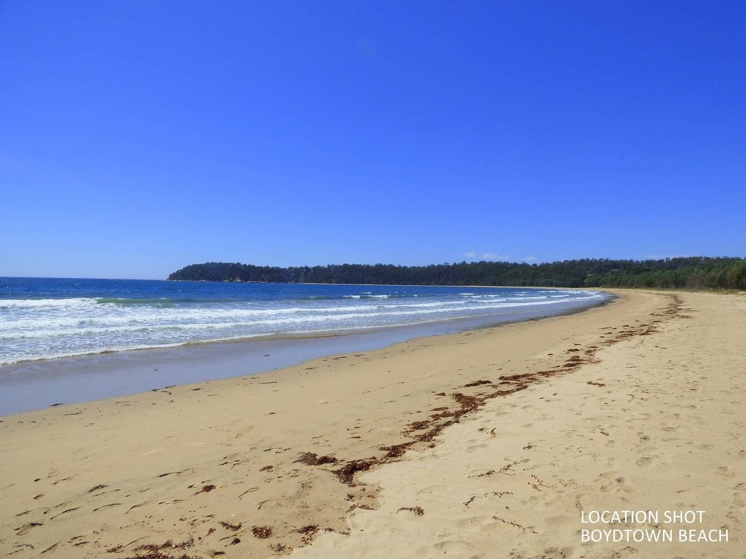 20 Yarran Road, Boydtown Via, Eden, Eden - Thumbnail 2