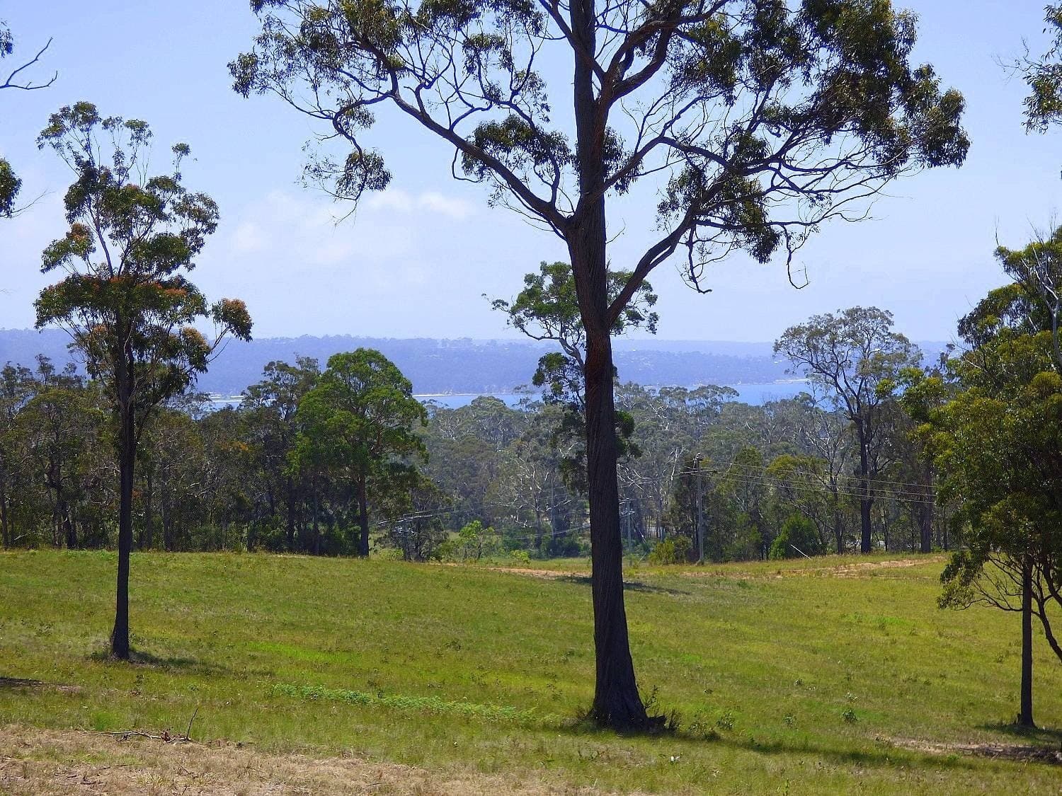 20 Yarran Road, Boydtown Via, Eden, Eden - Thumbnail 4