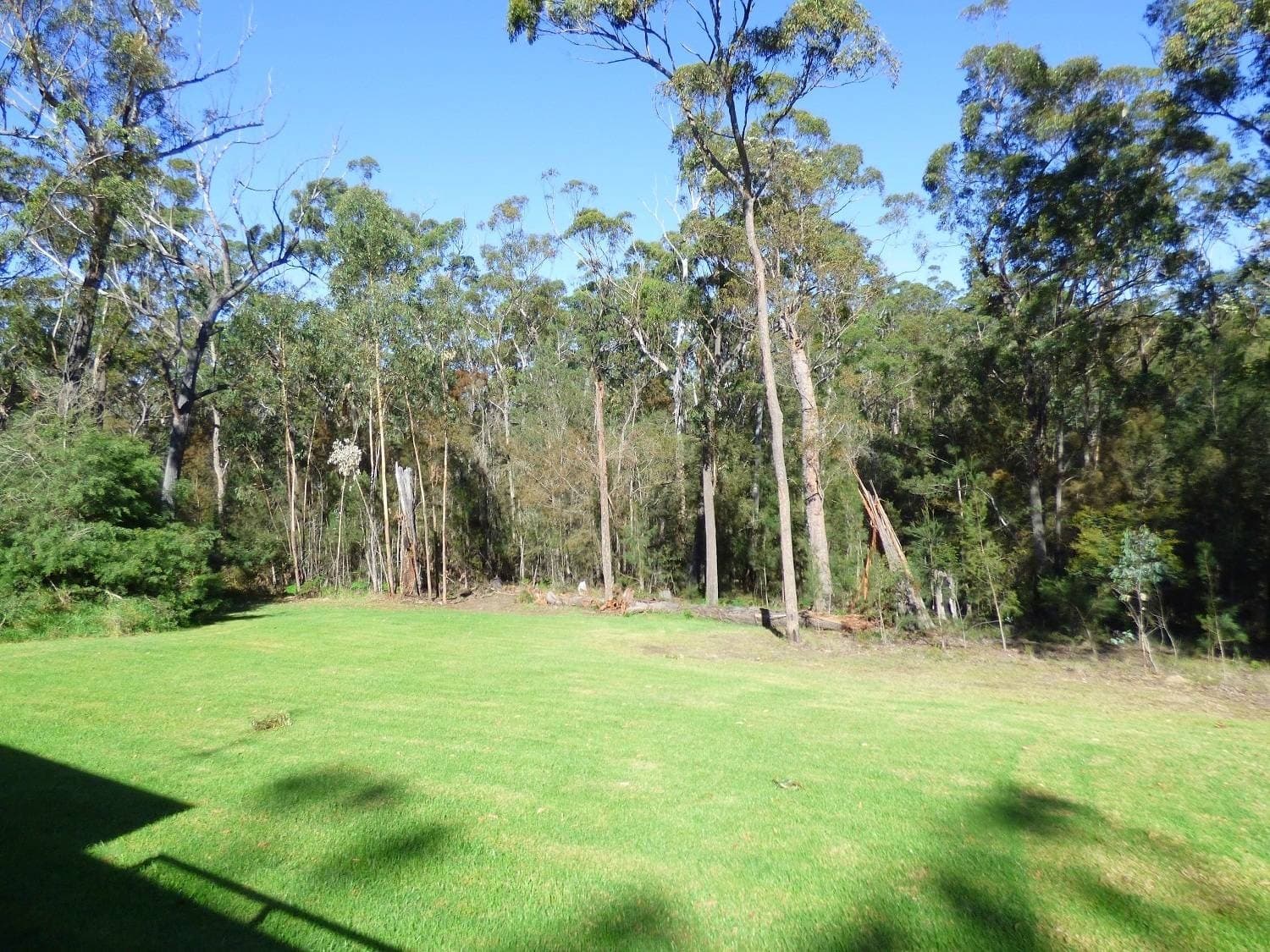 43 Settlers Rd Greigs Flat Via, Pambula, Pambula - Thumbnail 7