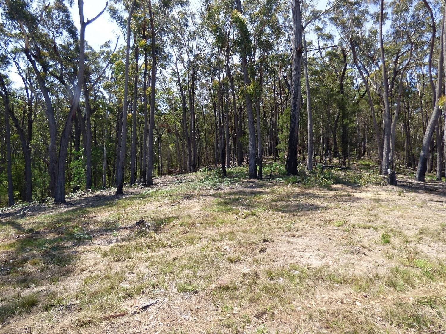 Lot 1 Princes Highway Kiah Via, Eden, Eden - Thumbnail 3