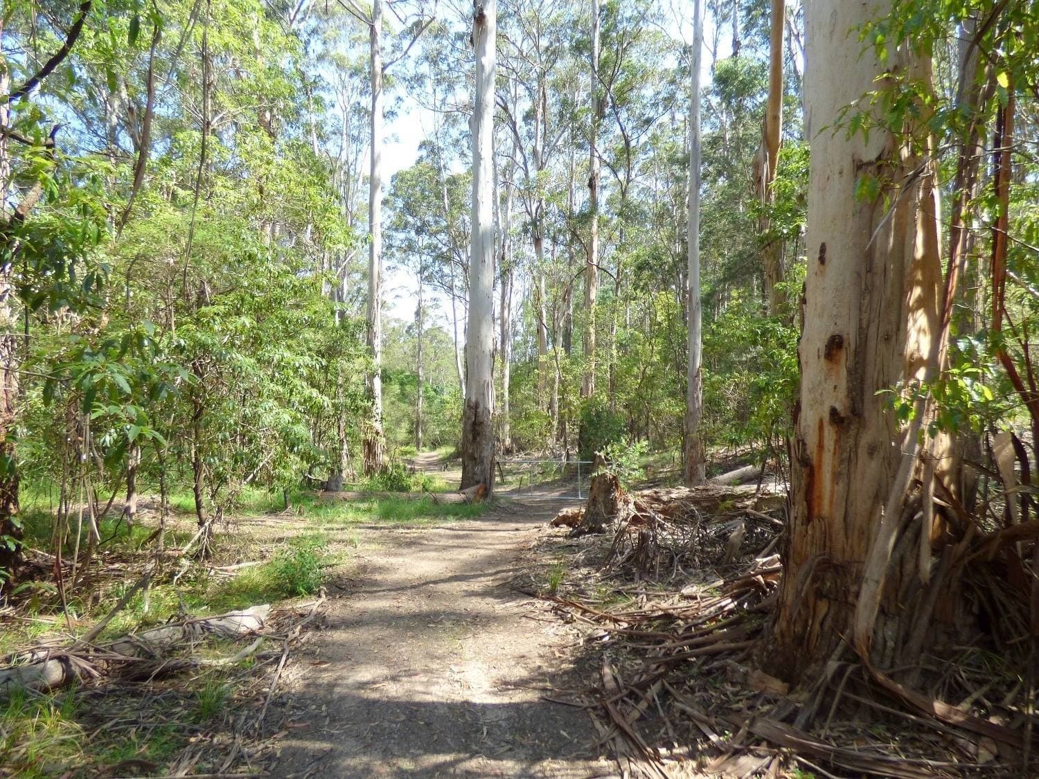 Lot 1 Princes Highway Kiah Via, Eden, Eden - Thumbnail 5