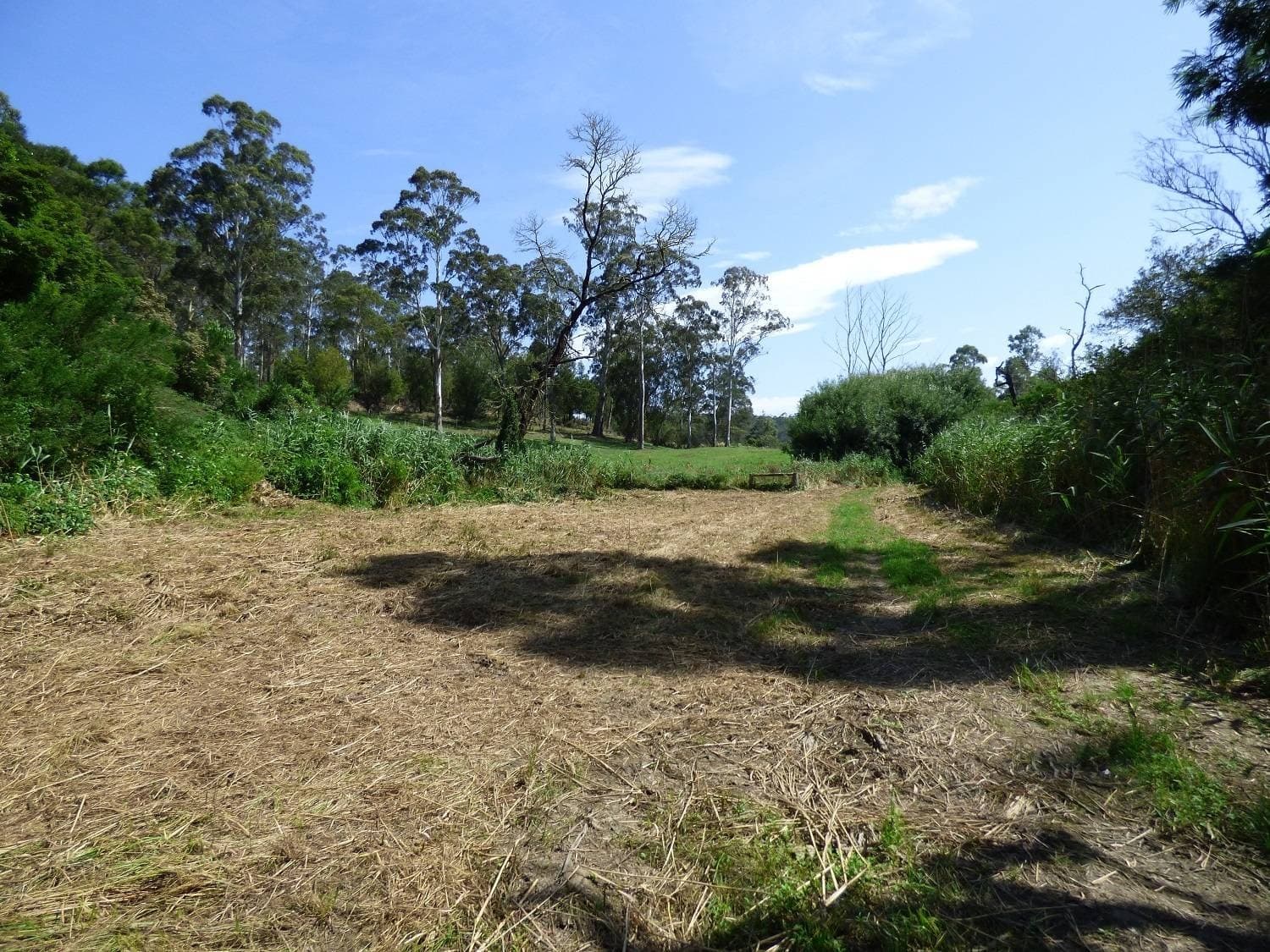 Lot 1 Princes Highway Kiah Via, Eden, Eden - Thumbnail 6