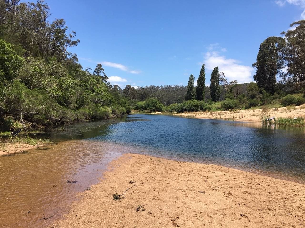 Lot 1 Princes Highway Kiah Via, Eden, Eden - Thumbnail 7