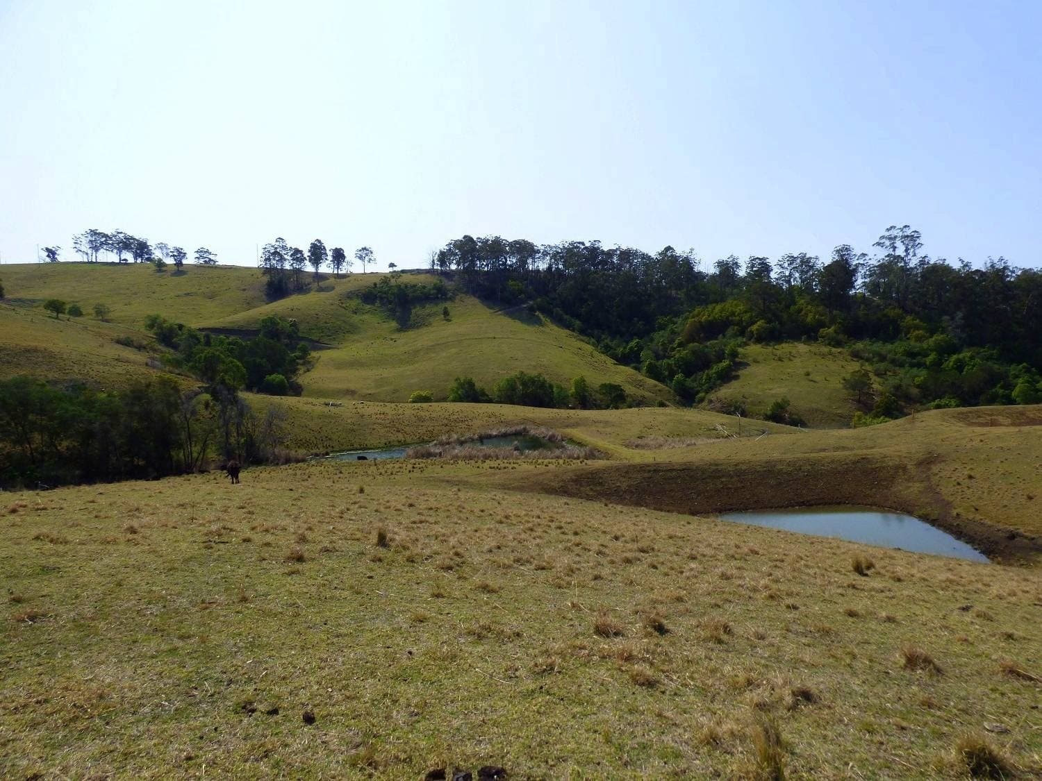 Proposed Lot A Woodlands Lane, Bald Hills, Bald Hills - Image 1