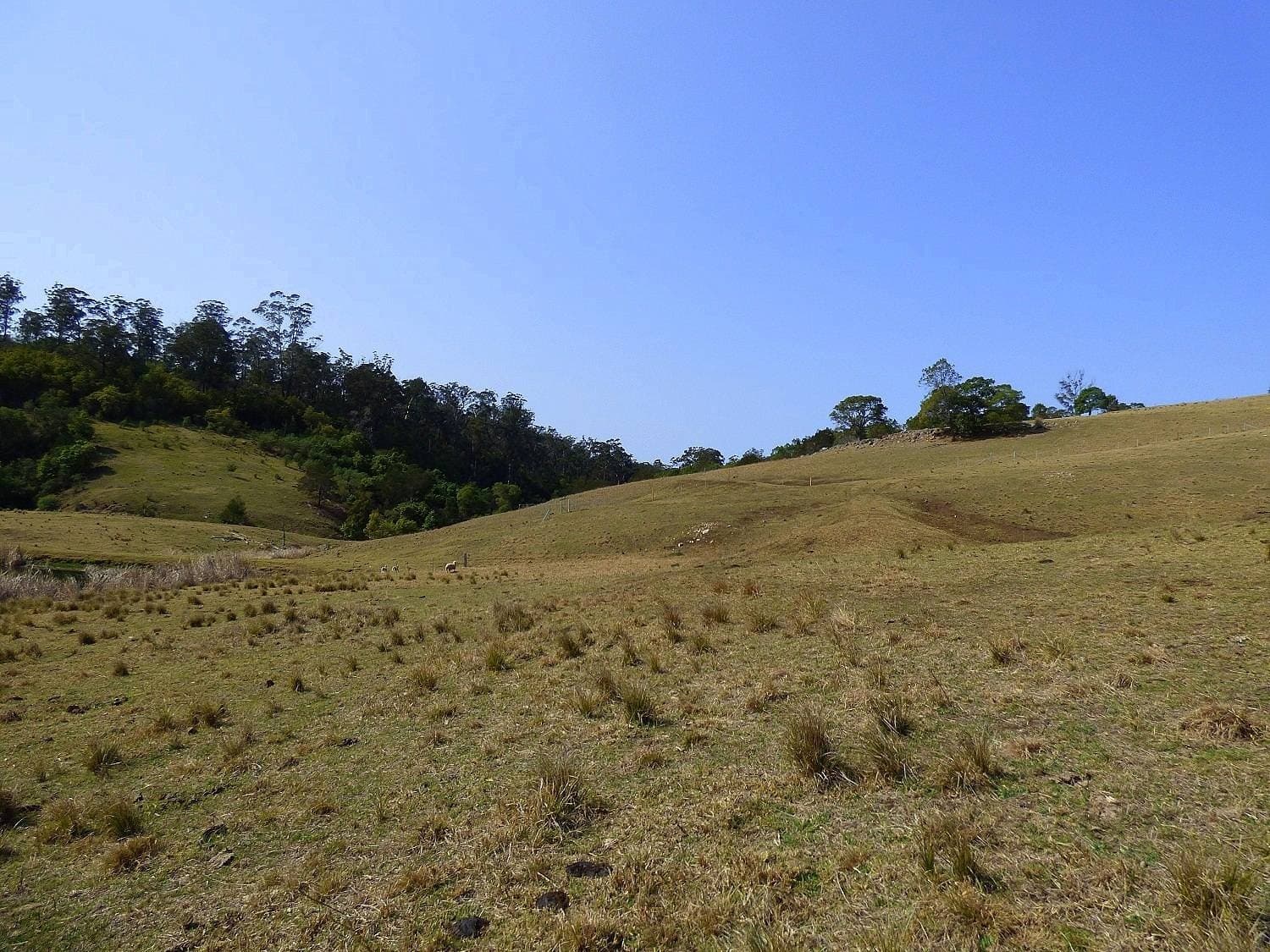 Proposed Lot A Woodlands Lane, Bald Hills, Bald Hills - Thumbnail 2