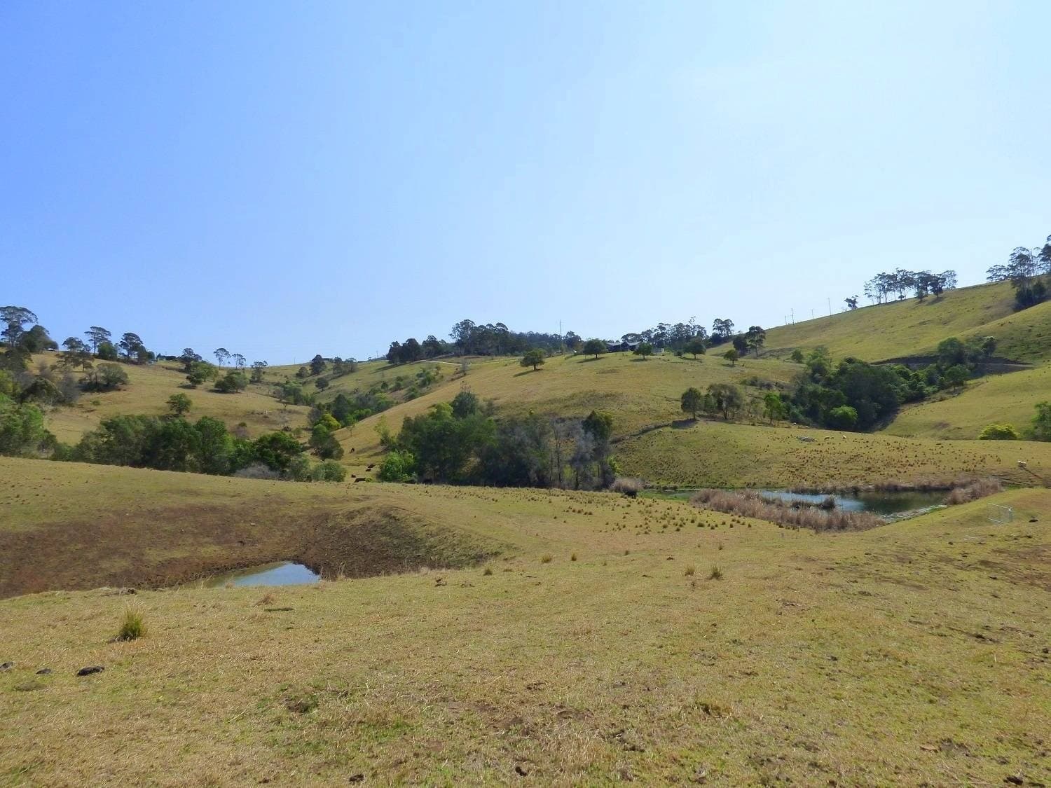 Proposed Lot A Woodlands Lane, Bald Hills, Bald Hills - Thumbnail 3