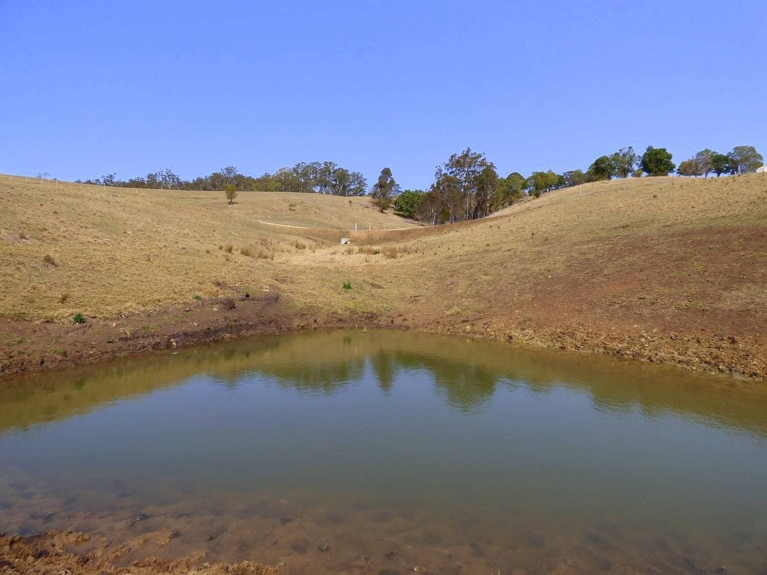 Proposed Lot A Woodlands Lane, Bald Hills, Bald Hills - Thumbnail 4