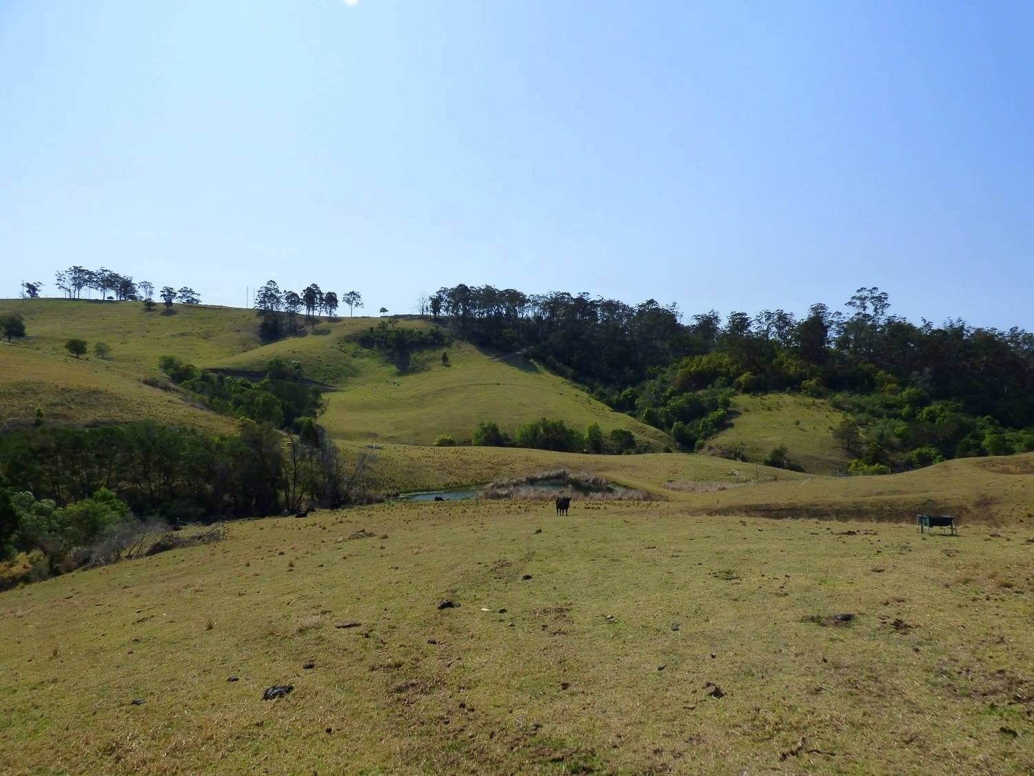 Proposed Lot A Woodlands Lane, Bald Hills, Bald Hills - Thumbnail 6