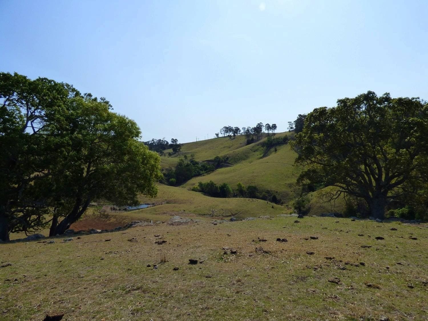 Proposed Lot B Woodlands Lane, Bald Hills, Bald Hills - Image 1