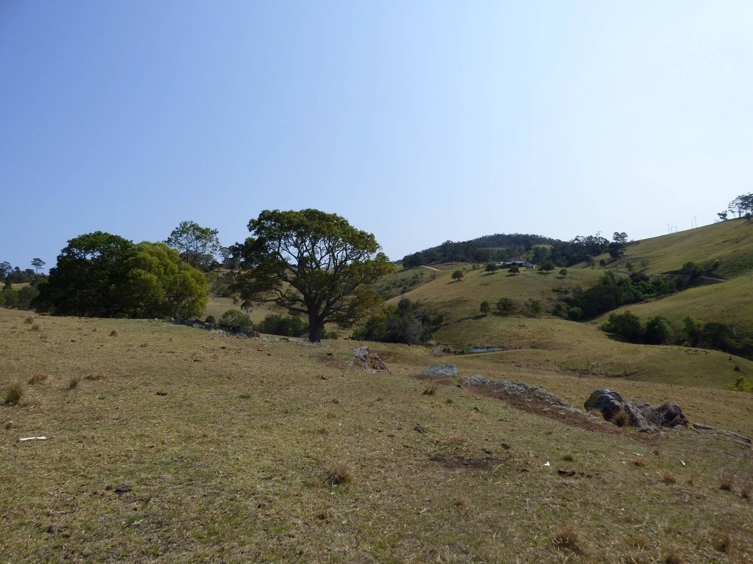 Proposed Lot B Woodlands Lane, Bald Hills, Bald Hills - Thumbnail 3