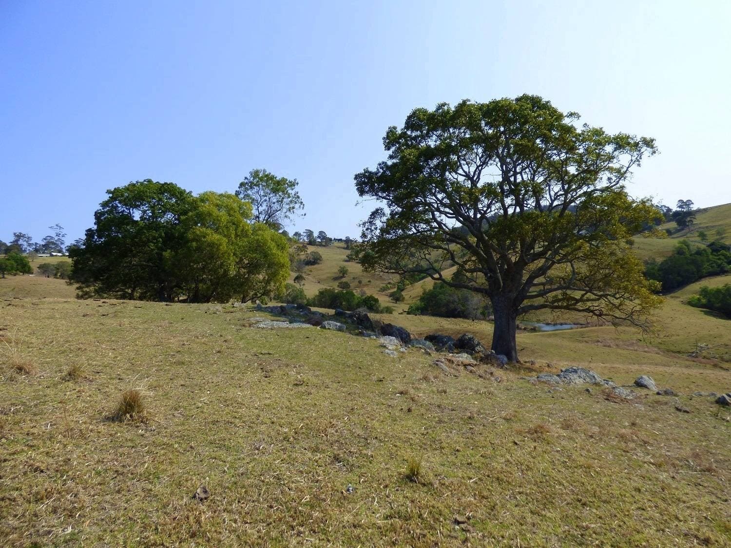 Proposed Lot B Woodlands Lane, Bald Hills, Bald Hills - Thumbnail 5