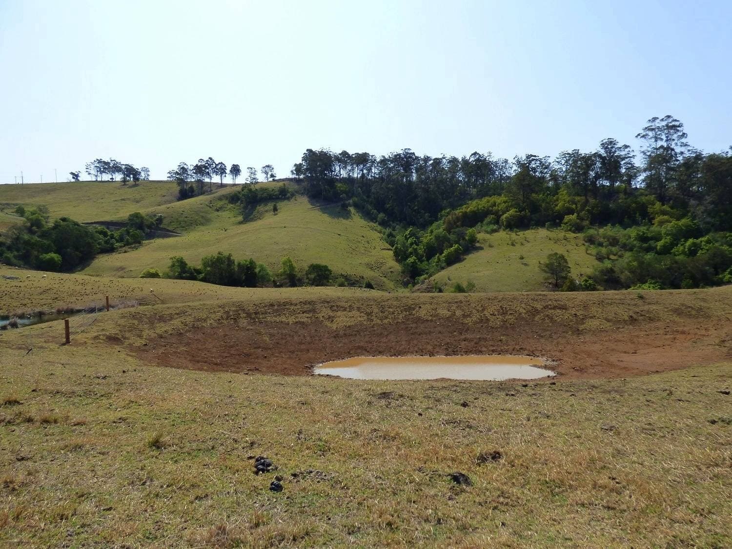 Proposed Lot B Woodlands Lane, Bald Hills, Bald Hills - Thumbnail 6