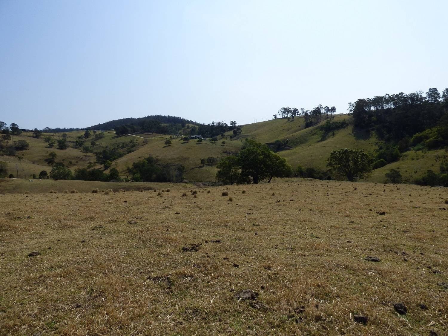 Proposed Lot B Woodlands Lane, Bald Hills, Bald Hills - Thumbnail 7