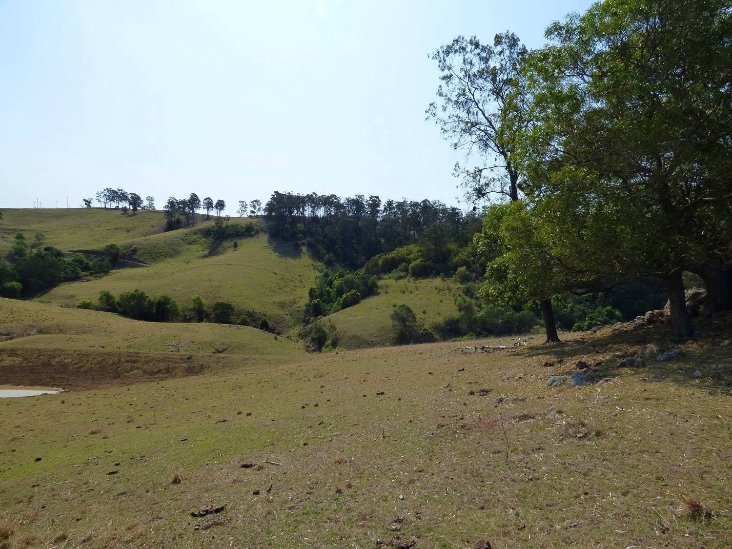 Proposed Lot B Woodlands Lane, Bald Hills, Bald Hills - Thumbnail 8
