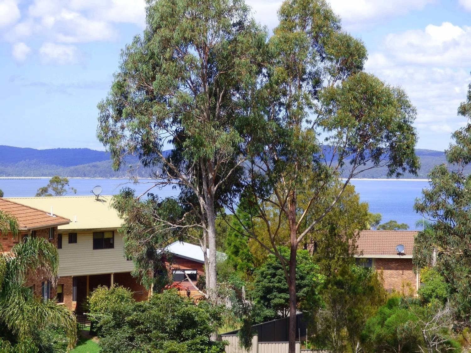 1, 6 Bellbird Ct, Eden, Eden - Thumbnail 4