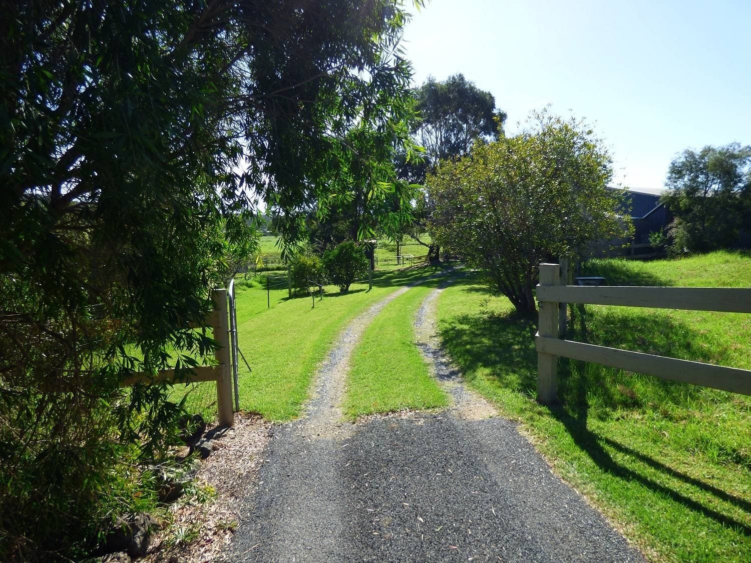 66 Mount Darragh Rd, South Pambula, South Pambula - Thumbnail 2