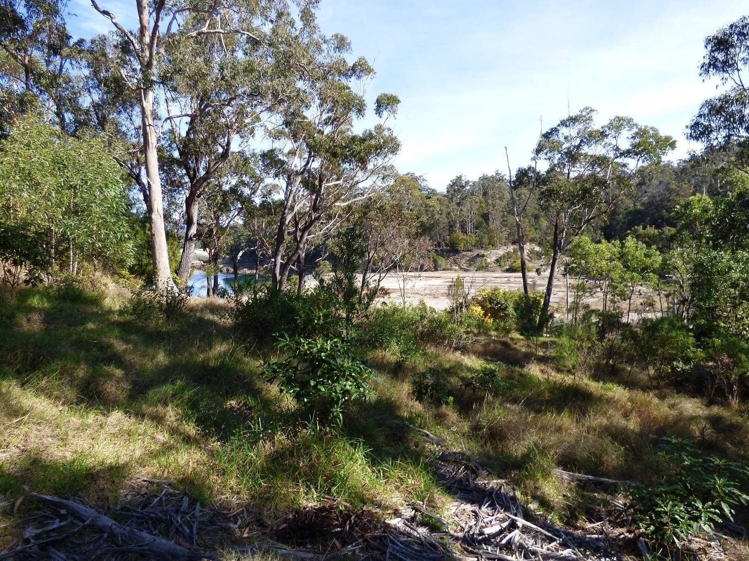 42 Chandos Street, Eden, Eden - Thumbnail 4