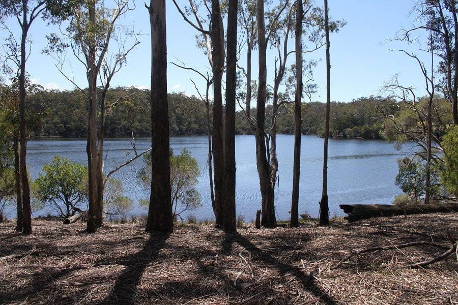 Lot 11 Ivor Jones Drive, Wonboyn, Wonboyn - Thumbnail 5