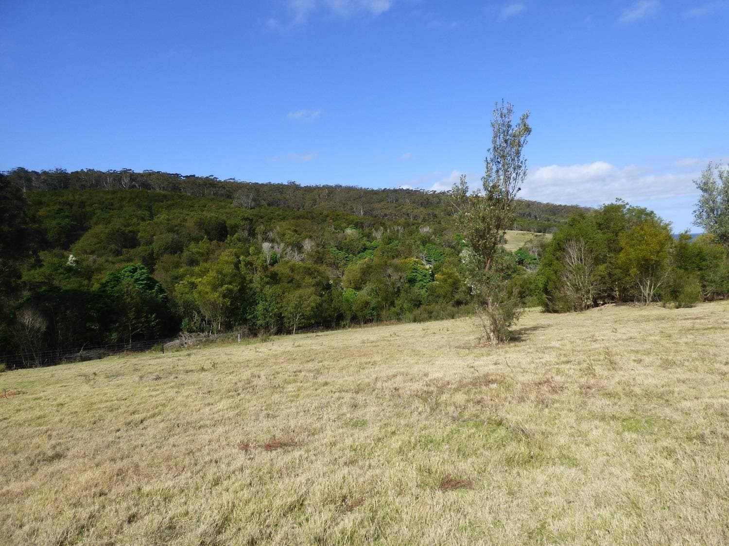 Lot B  (Part Lot 27) K B Timms Drive, Eden, Eden - Thumbnail 7